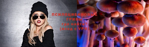 a pvp Касимов