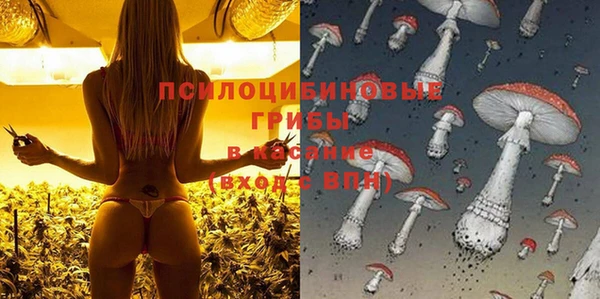 прущий лед Карталы