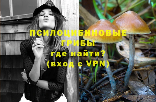 прущий лед Карталы