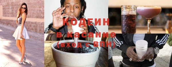 шишки Каменногорск