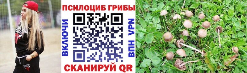 Галлюциногенные грибы MAGIC MUSHROOMS  darknet официальный сайт  Ковдор  наркотики 